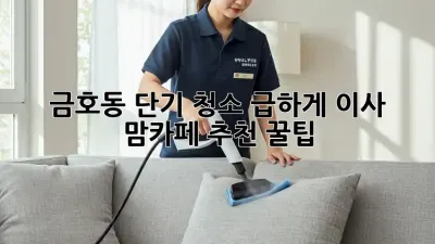 금호동 단기 청소🧹✨ 급하게 이사? 맘카페 추천 꿀팁!
