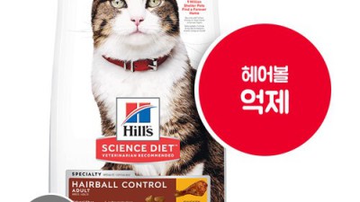냥이 건강 걱정 끝! 고양이힐스캔 솔직 후기 & 꿀팁 대방출! 💖